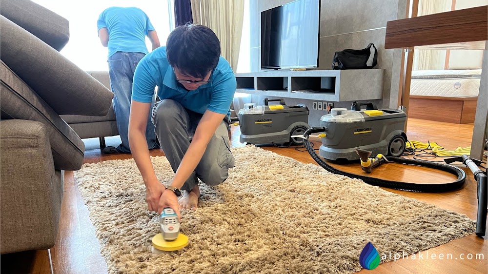 Alphakleen Professional Sofa & Carpet Upholstery Cleaning
