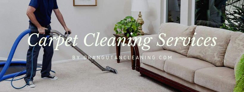 RNT Fabric Cleaning Services