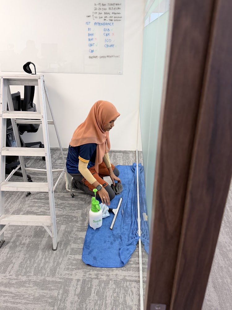 Diana The Cleaning Fairy