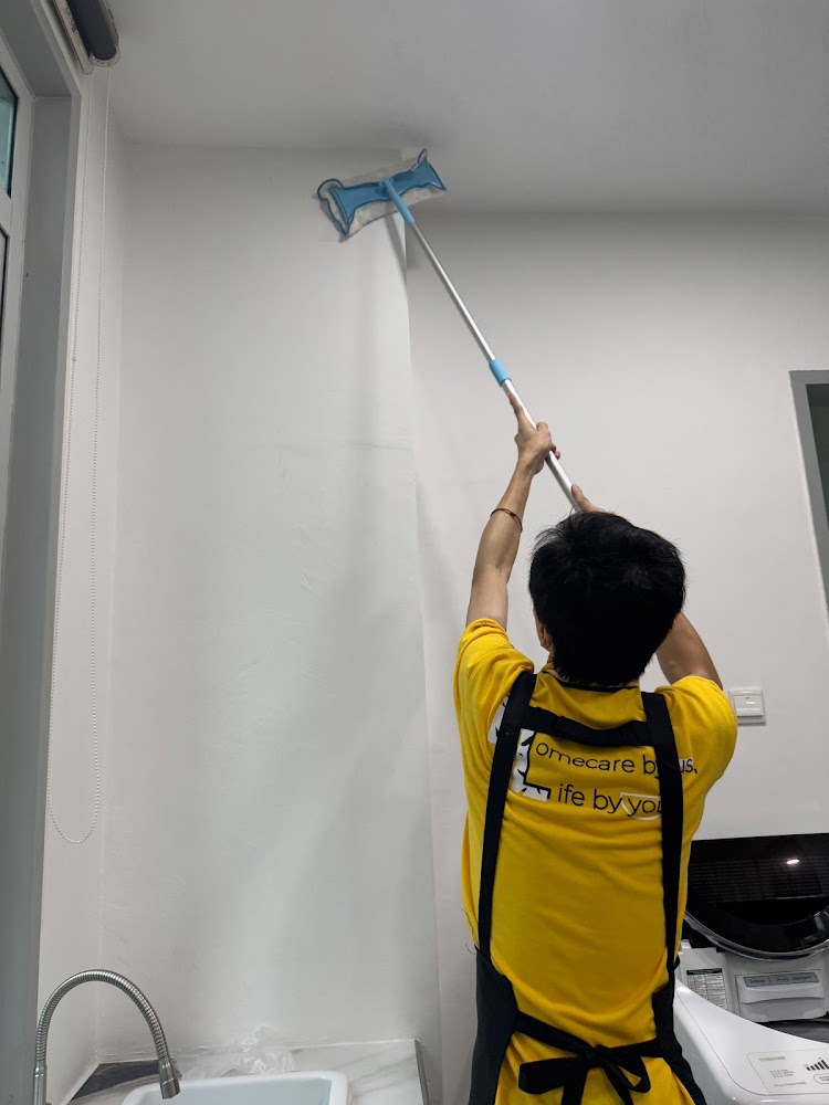 Zebra Life Cleaning Services Petaling Jaya