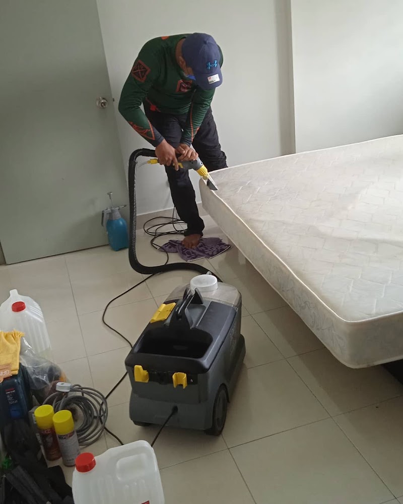 Provacuum Upholstery Deep Cleaning Services