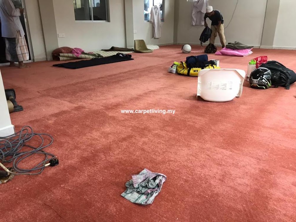 Carpet Living