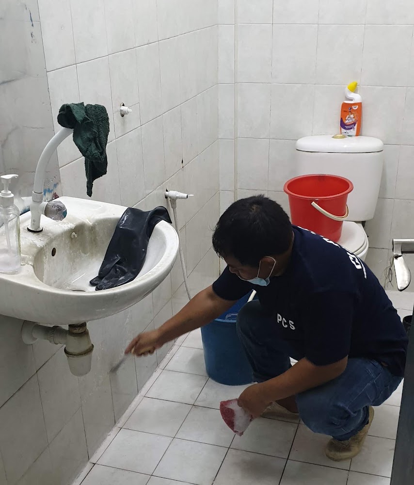 Pure Cleaners Solutions