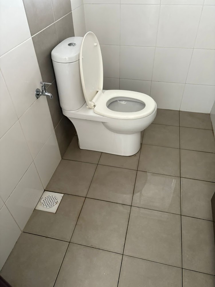 Scudiero Cleaners Cleaning Service