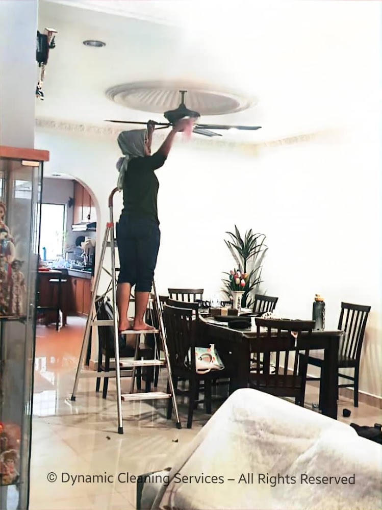 Dynamic Cleaning Services