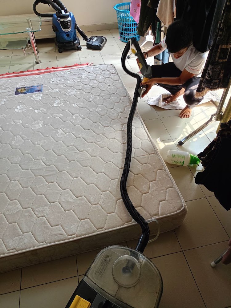 absCuci